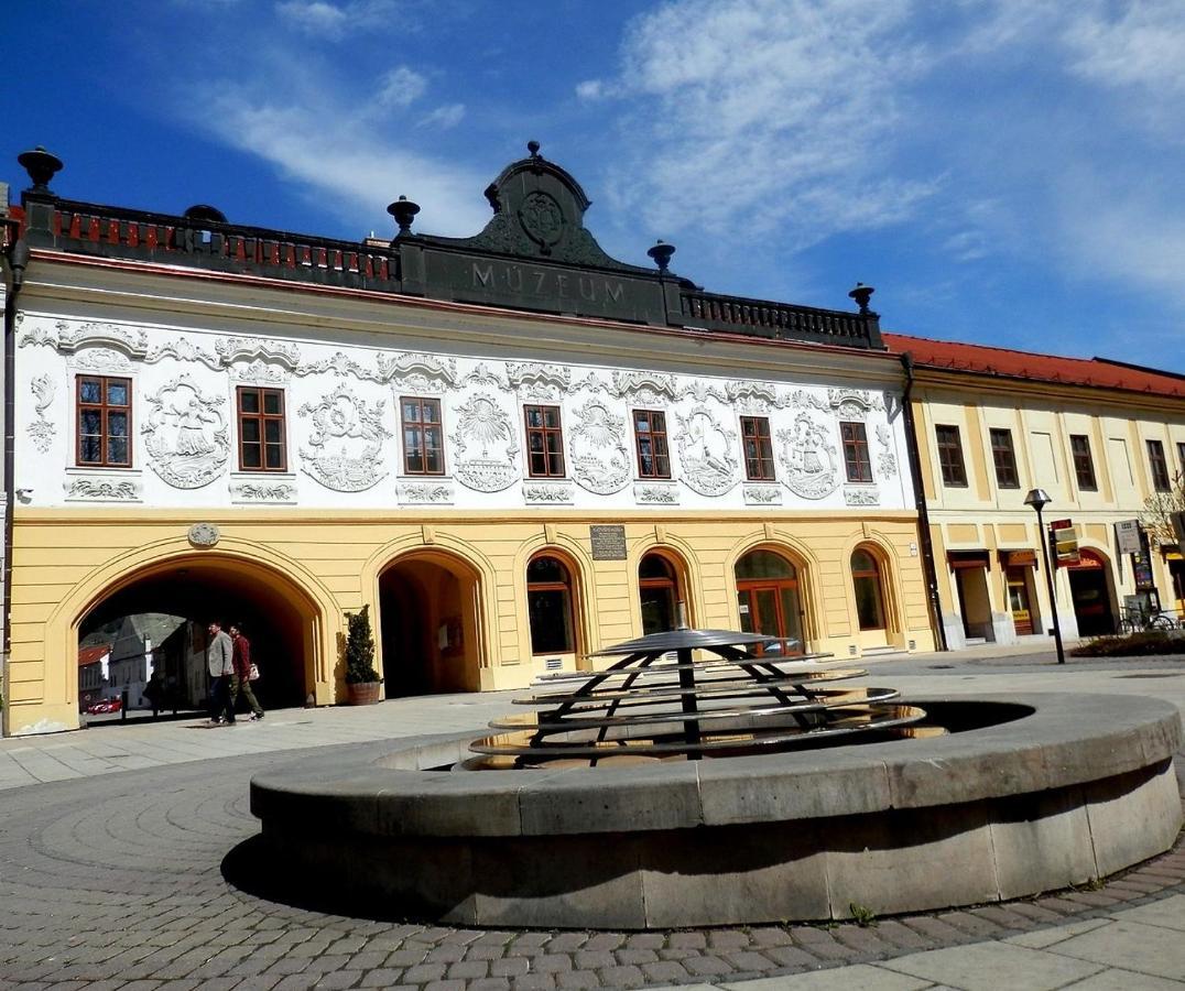 Apartman Ala Spišská Nová Ves Екстериор снимка